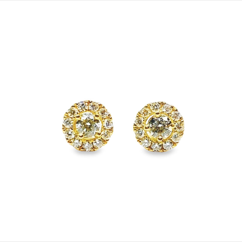 18K Yellow Gold Halo Diamond Stud Earrings